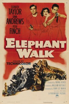 Фильм Слоновья тропа (1954)