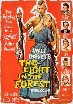 Фильм Свет в лесу (1958)