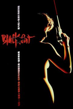Чёрная кошка (1991)