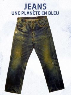 Джинсы, планета в синем (2010)