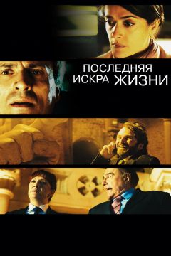 Фильм Последняя искра жизни (2011)